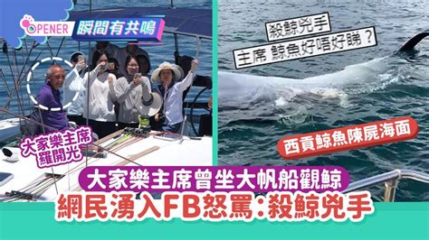 羅開光鯨魚|西貢鯨魚｜大家樂主席坐大帆船觀鯨 船家指包船兩小 